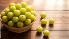 Side Effects of Amla : आवळा सर्वांसाठी नाही! जाणून घ्या कोणी खावं कोणी टाळावं!