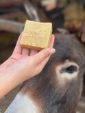 Donkey Milk Soap: गाढविणीच्या दुधाच्या साबणाची जागतिक मागणी वाढली! जाणून घ्या याचे फायदे...