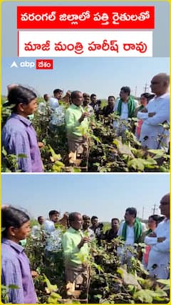 వరంగల్ జిల్లా పత్తిరైతులతో హరీశ్ రావు
