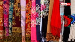 कौन सी भेंड के ऊन से बनती है पश्मीना शॉल, आखिर क्यों होती है इतनी महंगी?