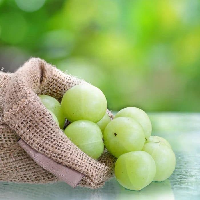 गर्भवती महिला किंवा स्तनपान करणाऱ्या मातांनी डॉक्टरांचा सल्ला घेतल्याशिवाय आवळ्याचे जास्त प्रमाणात सेवन करू नये, कारण त्यामुळे पोटाच्या समस्या वाढू शकतात.