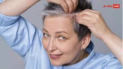 ਕੀ ਇੱਕ ਚਿੱਟੇ ਵਾਲ ਨੂੰ ਕੱਟਣ ਨਾਲ ਬਾਕੀ ਵਾਲ ਵੀ ਹੋ ਜਾਂਦੇ ਨੇ ਚਿੱਟੇ ? ਜਾਣੋ ਕੀ ਕਹਿੰਦੇ ਨੇ ਮਾਹਰ