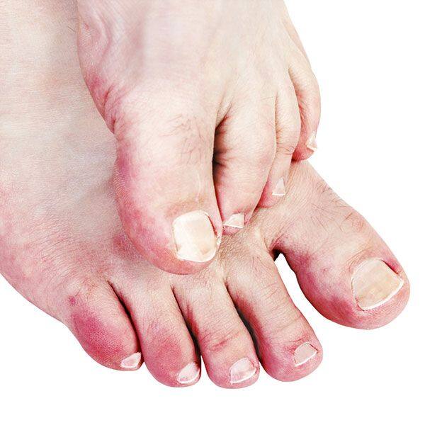 (टीप: वरील सर्व माहिती केवळ माहितीपुरती असून, एबीपी माझा यामध्ये कोणताही दावा करत नाही).