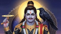 Sade Sati And Dhaiyya In 2026? Bring These Five Items Home To Attract Blessings Of Shanidev