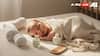 The Skinimalism Trend In Babycare: Why ‘Less Is More’ Is Transforming Infant Skincare