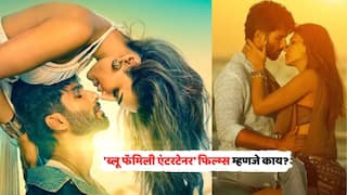 What Are Blue Family Entertainers: 'ब्लू फॅमिली एंटरटेनर' फिल्म्स म्हणजे काय? तुम्ही पाहिल्यात का 'या' फिल्म्स?