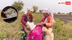 किसान सम्मान निधि का अब तक नहीं मिला है लाभ, इस तरह कर सकते हैं आवेदन
