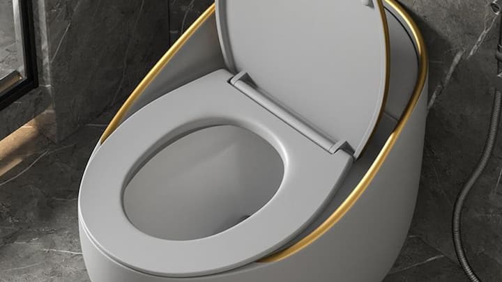 World Toilet Day is celebrated to make the world understand the importance of cleanliness. The modern toilet system that we take for granted today was never available everywhere. Especially in many parts of Africa, the toilet tradition existed in a completely different form for centuries.