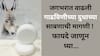 Donkey Milk Soap: गाढविणीच्या दुधाच्या साबणाची जागतिक मागणी वाढली! जाणून घ्या याचे फायदे...
