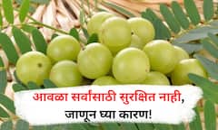 Side Effects of Amla : आवळा सर्वांसाठी नाही! जाणून घ्या कोणी खावं कोणी टाळावं!