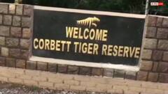 जिम कॉर्बेट नेशनल पार्क में बाघ शिकार मामले में सुनवाई, CBI जांच पर लगी रोक हटाने की मांग