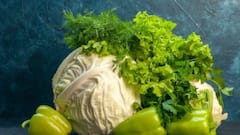 Kidney Health Tips: નિયમિત આ ખોરાક ખાવાથી કિડની સ્વસ્થ રહે છે, જાણો નિષ્ણાતો શું કહે છે ?