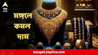 Gold Price Today : একদিনে অনেকটা কমল সোনার দাম! মঙ্গলবার কত দামে পাবেন গয়না?