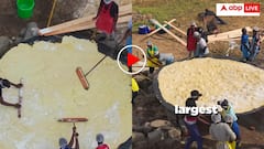 ये है दुनिया की सबसे बड़ी रोटी! उठाने के लिए चाहिए 12 लोग, कीमत जान मर जाएगी भूख- वीडियो वायरल