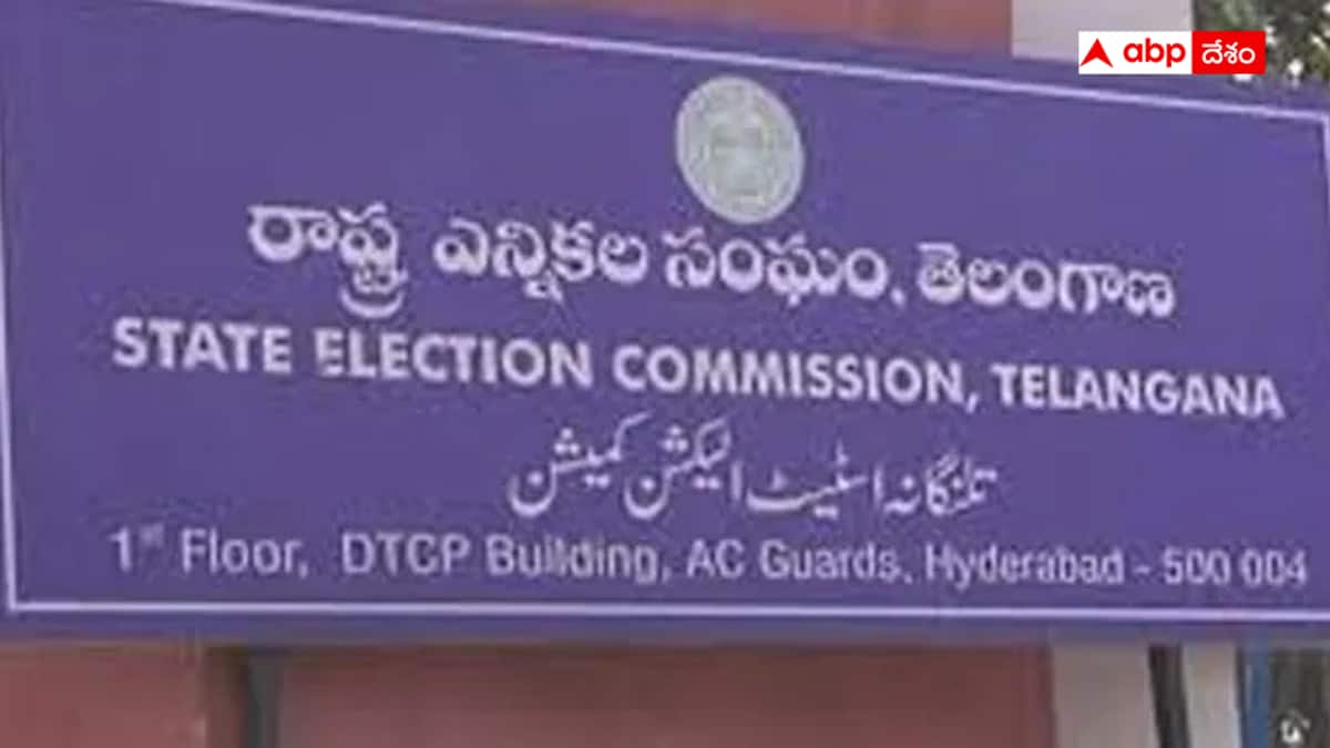 Telangana Panchayat Elections: మరోసారి ఓటర్ల జాబితా సవరణ షెడ్యూల్ - పంచాయతీ ఎన్నికలకు తెలంగాణ ఎస్‌ఈసీ సన్నాహాలు