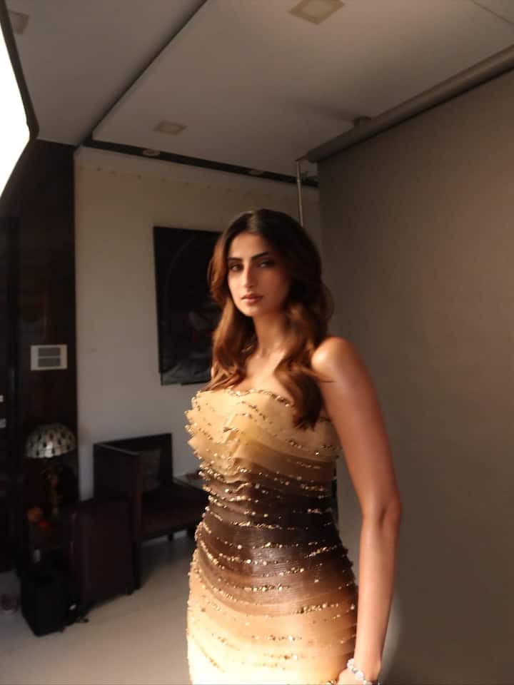 पलक तिवारी ने हल्के और गहरे भूरे रंग का ऑफ-शोल्डर शिमरी गाउन पहना हुआ है।