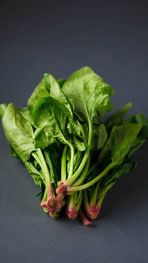 પાલકને લાંબા સમય સુધી તાજું રાખવાનો સાચો રસ્તો