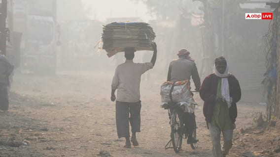 Diet 'ਚ ਸ਼ਾਮਲ ਕਰ ਦਿਓ ਆਹ ਚੀਜ਼ਾਂ, ਪ੍ਰਦੂਸ਼ਣ ਕਰਕੇ ਨਹੀਂ ਹੋਵੋਗੇ ਬਿਮਾਰ