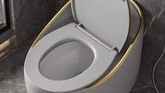 World Toilet Day: અગાઉ આ દેશોમાં મહિલાઓ અને પુરુષો માટે અલગ નહોતા ટૉઈલેટ