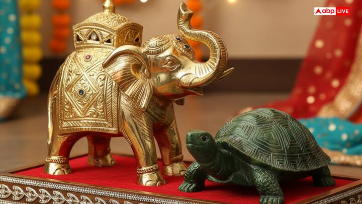 According to Vastu, gifting a pair of elephant and tortoise strengthens the financial condition and brings positive energy to the house. Because, elephant brings wealth and good fortune, whereas tortoise brings happiness and success in the house by removing negative energy.
