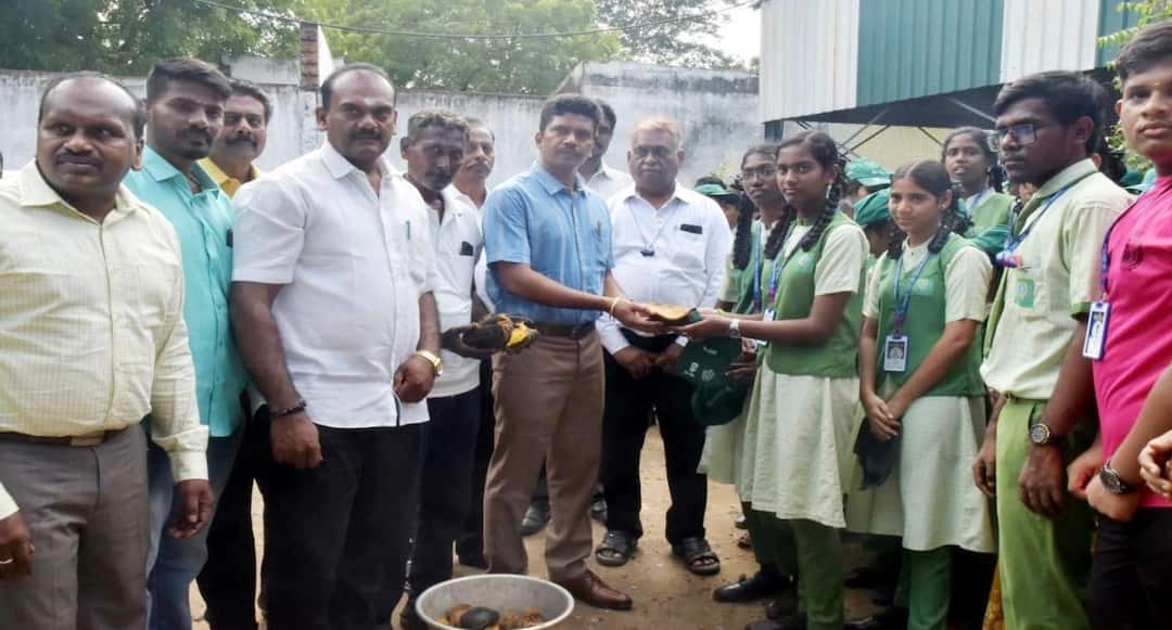 ஆலமரத்தின் 248-வது வார விழா.. 1000 மரக்கன்றுகள் மற்றும் 5000 பனைமர விதைகள் நடவு செய்த மாவட்ட ஆட்சியர் !