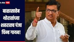 बाळासाहेब थोरातांच्या शहरातच पंजा चिन्ह गायब, नगरपालिका निवडणुकीत स्वतंत्र आघाडी, सत्यजित तांबेंची पत्नी निवडणुकीच्या रिंगणात