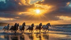 పుత్రుడు శని నక్షత్రంలోకి సూర్యుడు!  డిసెంబర్ 2 వరకూ ఈ రాశుల వారి అదృష్టం వెలిగిపోతుంది!