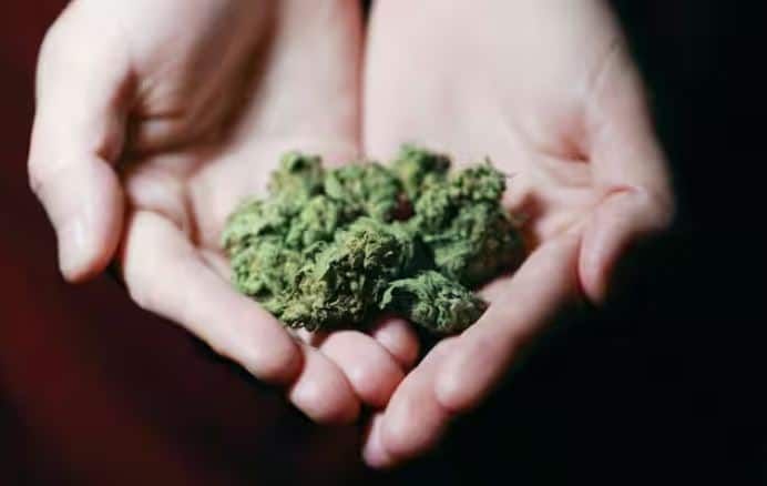 ਭਾਰਤ ਵਿੱਚ, ਇਹਨਾਂ ਦੀ ਵਰਤੋਂ ਅਤੇ ਉਤਪਾਦਨ ਨੂੰ ਨਿਯੰਤਰਿਤ ਕਰਨ ਵਾਲੇ ਕਾਨੂੰਨ ਕਾਫ਼ੀ ਸਖ਼ਤ ਹਨ, ਫਿਰ ਵੀ ਲੋਕ ਅਕਸਰ ਇਹਨਾਂ ਬਾਰੇ ਅਧੂਰੇ ਤੌਰ 'ਤੇ ਜਾਣਕਾਰੀ ਰੱਖਦੇ ਹਨ। ਇਸ ਉਲਝਣ ਨੂੰ ਦੂਰ ਕਰਨ ਲਈ, ਇਹਨਾਂ ਦੇ ਨਿਰਮਾਣ ਤਰੀਕਿਆਂ, ਪ੍ਰਭਾਵਾਂ ਅਤੇ ਮਾੜੇ ਪ੍ਰਭਾਵਾਂ ਨੂੰ ਸਰਲ ਸ਼ਬਦਾਂ ਵਿੱਚ ਸਮਝਾਉਣਾ ਮਹੱਤਵਪੂਰਨ ਹੈ।