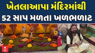 Rajkot Khetla Aapa Temple: રાજકોટમાં ખેતલાઆપા મંદિરમાંથી 52 સાપ મળતા ખળભળાટ