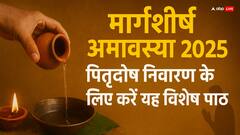 आज मार्गशीर्ष अमावस्या पर पितृदोष की मुक्ति के लिए सुनें ये विशेष पाठ, मिलेगा पितरों का आशीर्वाद!