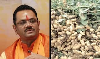 Gujarat: ટેકાના ભાવે મગફળીની અંગે કૃષિમંત્રીની મહત્વની જાહેરાત, ખેડૂતોને આપી મોટી રાહત ?