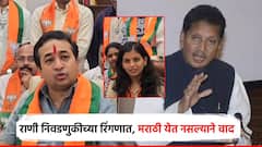 नगराध्यक्षपदासाठी राणी निवडणुकीच्या रिंगणात; मराठी बोलता येत नसल्याने महायुतीत वाद, नितेश राणेंचा इशारा