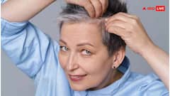 Hair Tips: શું એક સફેદ વાળ તોડવાથી બીજા વાળ પણ સફેદ થઈ જાય છે? નિષ્ણાતો શું કહે છે?