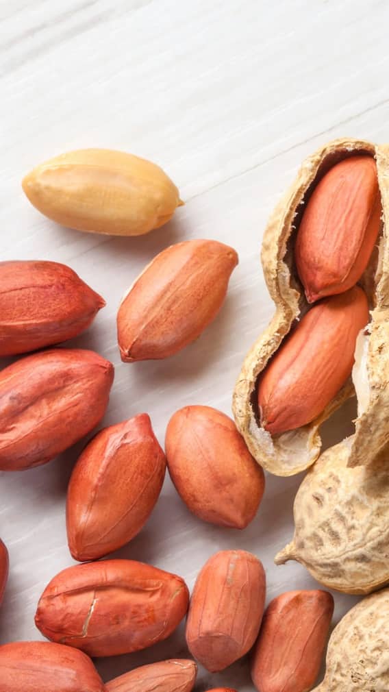 दिल्ली की सस्ती और ताज़ी मूंगफली, जानें 10 बेस्ट मार्केट्स जहां मिलेगी बढ़िया क्वालिटी