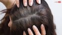 Hair Tips: શું એક સફેદ વાળ તોડવાથી બીજા વાળ પણ સફેદ થઈ જાય છે? નિષ્ણાતો શું કહે છે?