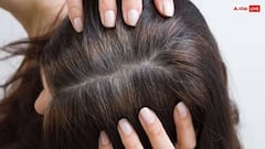 Hair Tips: શું એક સફેદ વાળ તોડવાથી બીજા વાળ પણ સફેદ થઈ જાય છે? નિષ્ણાતો શું કહે છે?