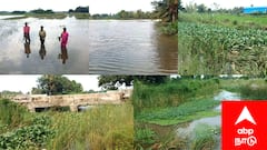 கனமழையால் தண்ணீரில் மூழ்கிய 2000 ஏக்கர் சம்பா பயிர்கள் - கண்ணீர் வெள்ளத்தில் மயிலாடுதுறை மாவட்ட விவசாயிகள் ..!