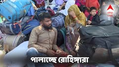 কাজের খোঁজে ভারতে রোহিঙ্গারা! SIR শুরু হতেই বাংলাদেশে পালানোর হিড়িক