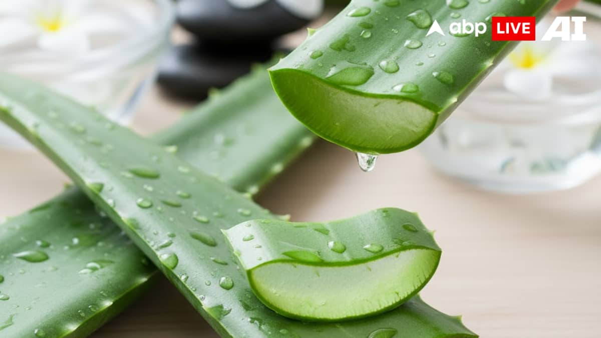 (Image Source: ABPLIVE AI)