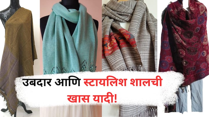 Trendy Shawl Looks : हिवाळ्यात पश्मीना, याक लोकरीचे, कुल्लू, अंगोरा आणि मेरिनो अशा विविध प्रकारच्या शाल त्यांची उब, मऊपणा, टिकाऊपणा आणि आकर्षक डिझाइन्स यामुळे लोकांमध्ये खूप लोकप्रिय आहेत.