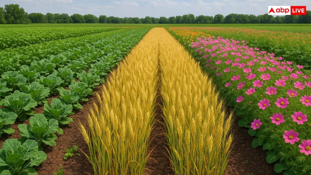 Know How Farmers Can Grow Flowers Vegetables and Grains in One Field एक ही खेत में कैसे उगा सकते हैं फूल, सब्जी और अनाज, किसान भाई सीख लें फायदे का सौदा