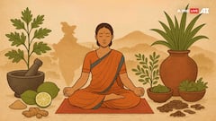 இயற்கை மருத்துவம் என்பது நோயை எதிர்த்துப் போராடுவதற்கான ஒரு இயற்கை ஆயுதம் - பதஞ்சலி