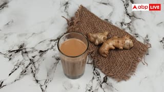 Ginger Tea: क्या अदरक वाली चाय सच में घटाती है वजन, जानें इस दावे को लेकर क्या कहती है रिसर्च?