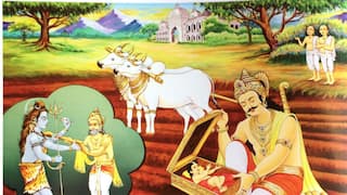 Vivah Panchami 2025: సీత జననం వెనుక రహస్యం! భూమి నుంచి పుట్టి మిథిలలో కరువు తీర్చిన అద్భుతం!