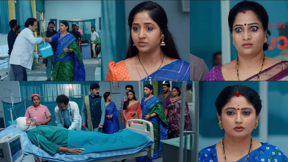Ammayi garu Serial Today November 20th: అమ్మాయిగారు సీరియల్: బంటీని కాపాడటానికి రాజు వేసిన మాస్టర్ ప్లాన్! రాఘవకి ఇంజక్షన్‌ వేశారా!
