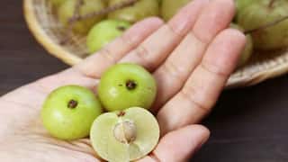 શિયાળામાં આંખો અને હાર્ટ માટે આમળા વરદાન સમાન, જાણો બીજા ચોંકાવનારા ફાયદા