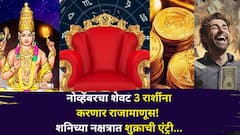 नोव्हेंबरचा शेवट 3 राशींना करणार मालामाल! शनिच्या नक्षत्रात शुक्राची एंट्री, करिअर, प्रेम, बॅंक बॅलेन्स होणार दुप्पट