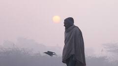 गैस चैंबर बने नोएडा-गाजियाबाद, गंभीर श्रेणी में पहुंची हवा की गुणवत्ता, लोगों को घुटने लगा दम!