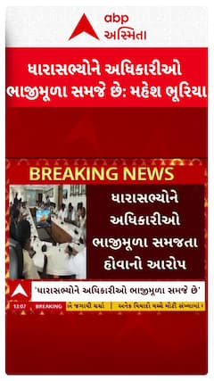 BJP MLA Allegation : બાબુરાજ સામે ભાજપના વધુ એક ધારાસભ્યનો બળાપો