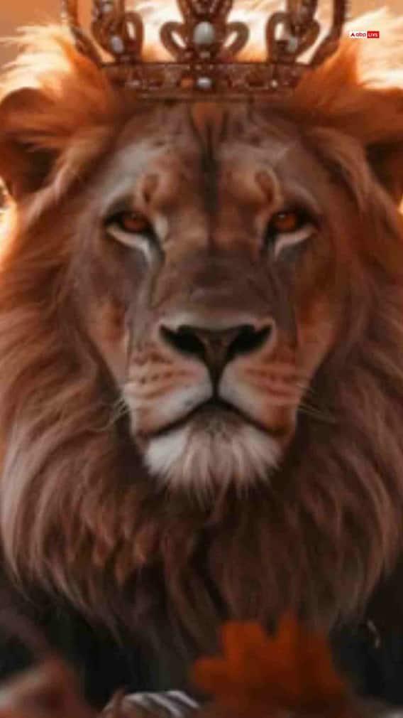 सिंह रास 21 नोव्हेंबर 2025 आजचे राशीभविष्य